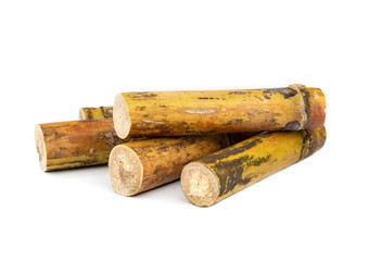 Sugar cane isolated .