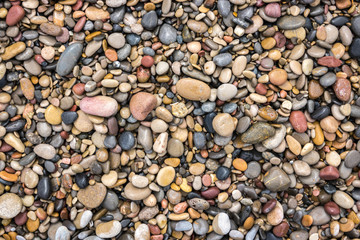 colorful background texture wet rolling stones wallpaper near sea different size and colours