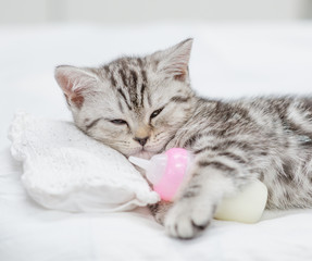 Close up baby kitten lying on a small bed with a bottle of milk