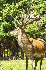 Four seasons views of Canada