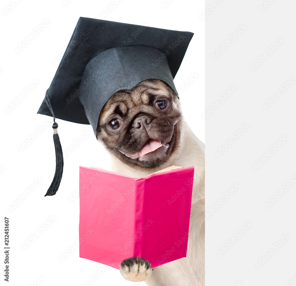 Poster Graduated dog with open book peeking  behind empty board. isolated on white background
