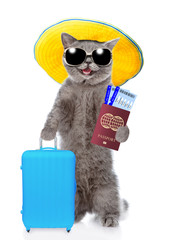 Happy cat with summer hat and sunglasses holds suitcase, airline tickets and passport ready for a vacation. isolated on white background