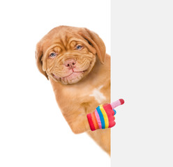 Smiling dog peeking above white banner and pointing on empty space. isolated on white background