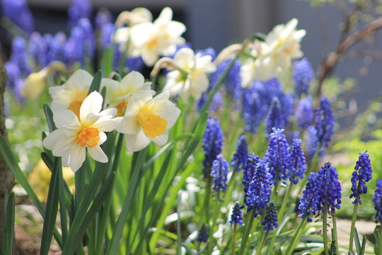 blumenkasten flechtoptik Blumenkasten Colorful  Industriestil