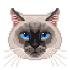 Obraz premium Pixel siamese cat face isolated vector