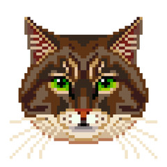 Fototapeta premium Pixel siberian cat face isolated vector