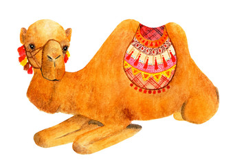 Lying camel decorated with bright accessories. Watercolor illustration.
Lying camel looks into the camera. Drawing for printing, packaging made of watercolor paints.