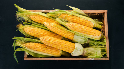 corn in a wooden box. Fresh vegetables. On a black wooden background. Top view. Copy space.