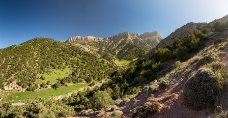 Fototapeta na wymiar Juniperus Protected Area, Hezar Masjed Mountains, Khorasan, Iran