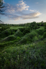 Fototapeta premium The Ukrainian landscape