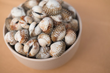 Delicious boiled or steamed cockles