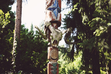 Indian totem with goat skull in the forest