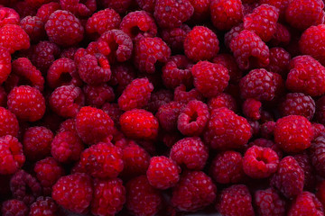 Fresh raspberries background.  Closeup photo, top view.