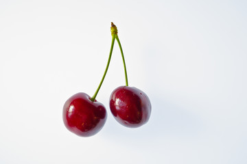 bright colorful fruits on a white background
