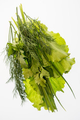 bright colorful vegetables on a white background
