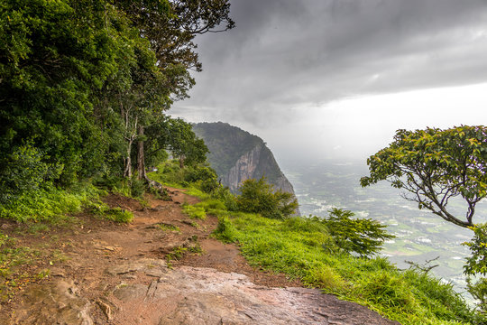 Nelliyampathy is a hill station within the Nelliyampathy Forest Reserve, in the southwest Indian state of Kerala