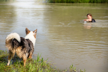 Ausbildung zur Wasserrettung, Wasserrettungshunde Erziehung, Frau in Gefahr, Hund steht am Ufer