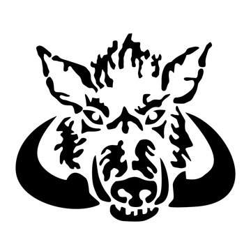 Illustration of a wild pig's head