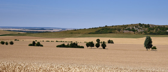 Toskanisches Flair im weiten Thüringer Land mit wogenden Feldern