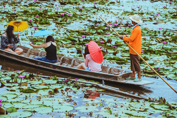 Obraz premium the tourist Sit on a rowing boat Watch the lotus in the marsh