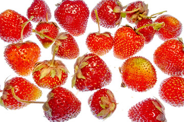 bright colorful fruits on a white background