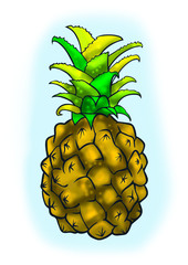 a pineapple