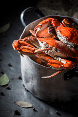 Preparation for homemade pink crab in a old metal pot © shaiith