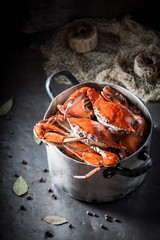 Homemade crab with allspice and bay leaf in metal pot - obrazy, fototapety, plakaty