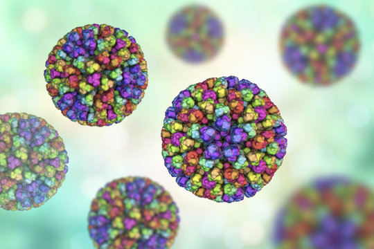 Bluetongue virus BTV, 3D illustration. A virus transmitted by the midge Culicoides, causes Bluetongue disease at ruminants, mainly sheep, characterized by fever and swollen, cyanotic tongue