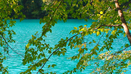 little corner of blue paradise on Lake Plitvice in Croatia