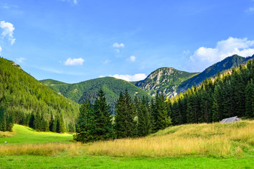 Peaks of the Tatra Mountains before sunset seen from a meadow
