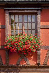 Fototapeta na wymiar Geraniums sur le rebord d'une fenêtre alsacienne, maison à colombages à Saint-Hippolyte en Alsace