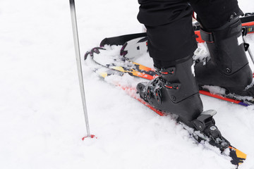 Close up of leg on ski board and pole.