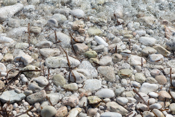 shore with stones