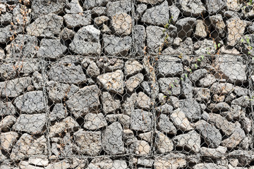 Graphic texture stone