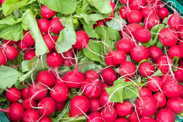 Pile of red radish for sale at a market 