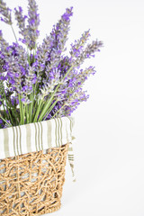 Dettaglio mazzo di lavanda officinale in cestino di vimini su sfondo bianco