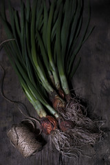A bunch of green onions with a root on a wooden background.