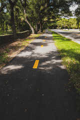 11-mile Old Cutler Trail under the cover of magnificent fichus trees and banyans in Miami