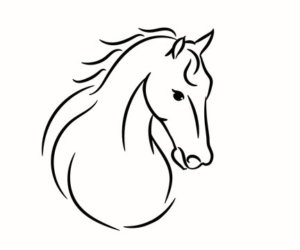 Horse head graphic logo template, vector illustration on white background. Stylish horse head outline for stable, farm, club race design. Running stallion for equestrian sport competition.