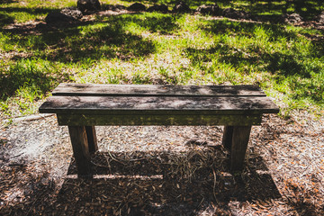Old wooden bench in Matheson Hammock Park