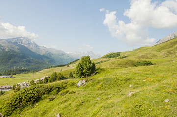 Fototapeta na wymiar St. Moritz, Corviglia, Corvatsch, Bergbahn, Alpen, Rosatschgruppe, Oberengadin, Wanderweg, Signalbahn, Graubünden, Schweiz