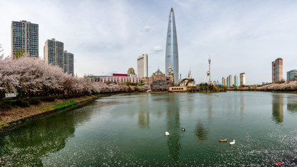 Plakat Cityscape of Seoul downtown city skyline with cherry blossom
