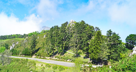 Sierra del Sueve, Parque Natural de El Ponga, Arriondas, Principado de Asturias, Asturias, España