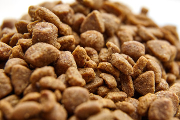 Dry food for dogs and cats. Pet meal on white background. Selective focus