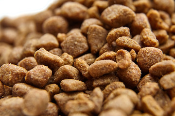 Dry food for dogs and cats. Pet meal on white background. Selective focus
