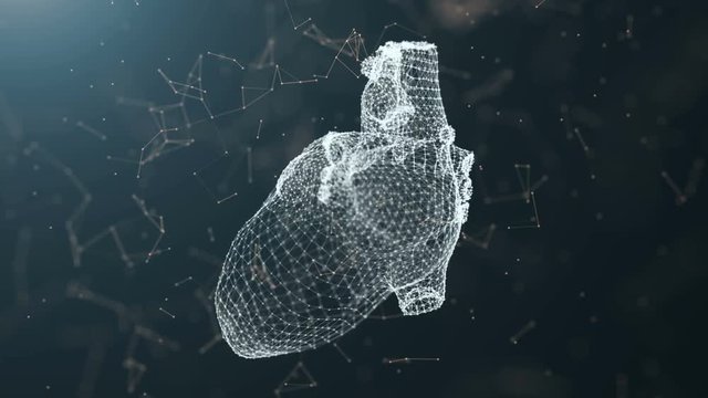 Plexus of the points of the heart.