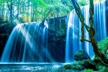 Foto op Plexiglas 新緑の鍋ヶ滝（熊本県阿蘇郡） © blackrabbit3
