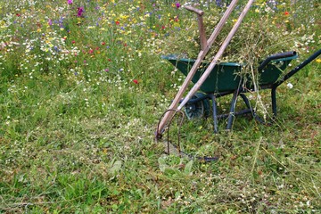 eine blumenwiese wird gemäht