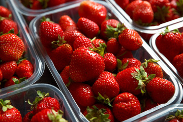 Close up of fresh red ripe strawberries in transparent plastic container boxes on retail market display, high angle view